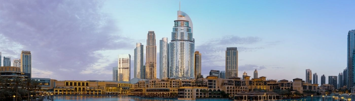 Pest Control in Dubai: Why Professional Services Are Essential for Your Home