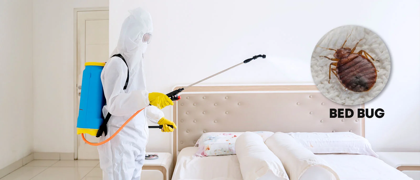 Best Bed Bug Control Dubai – How to Choose Safe & Effective Bed Bug Treatment Services