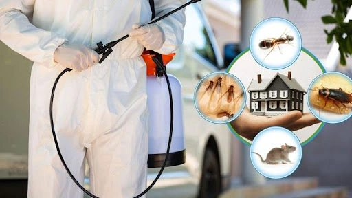 Govt. Approved Pest Control Dubai – Why Certified Pest Control Services Matter in the UAE